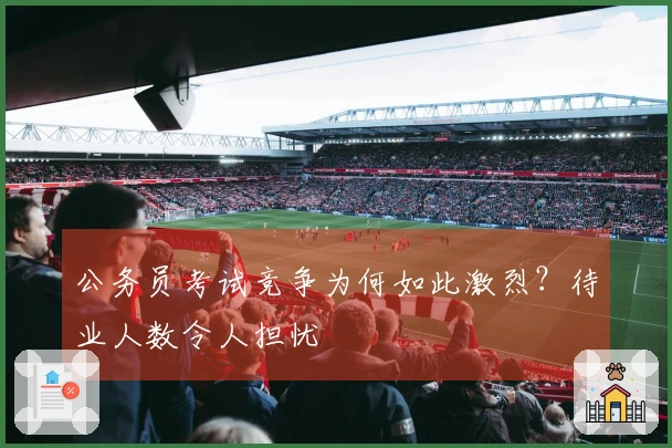 公务员考试竞争为何如此激烈？待业人数令人担忧